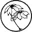 Mayapple Press