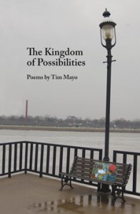 The Kingdom of Possibilities - Tim Mayo