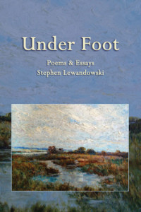Under Foot by Stephen Lewandowski - front cover