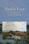 Under Foot – Stephen Lewandowski