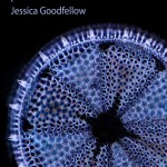 Mendeleev's Mandala by Jessica Goodfellow - front cover