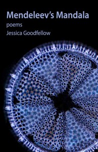 Mendeleev's Mandala by Jessica Goodfellow - front cover