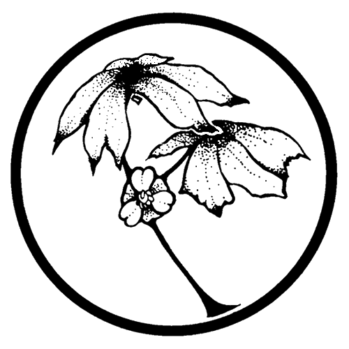Mayapple Press logo - Publishing challenging and accessible literary books since 1978