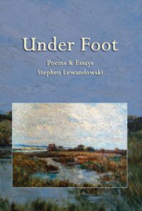 Under Foot by Stephen Lewandowski 