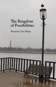 The Kingdom of Possibilities - Tim Mayo