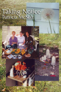 Taking Notice - Patricia McNair