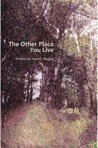 The Other Place You Live - Jane O. Wayne