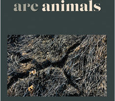 When Animals Are Animals by Betsy Johnson