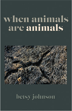 when animals are animals – Betsy Johnson
