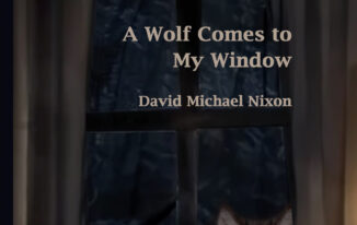 David Michael Nixon - A Wolf Comes to My window - front cover 978-1-952781-22-3